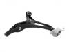 控制臂 Control Arm:251 330 1407